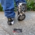 TÊNIS AIR MAX TN ZEBRA - loja online