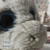Peluche TYE 14 cm Wabro | Original Coleccionable – Suave y Tierno - tienda online