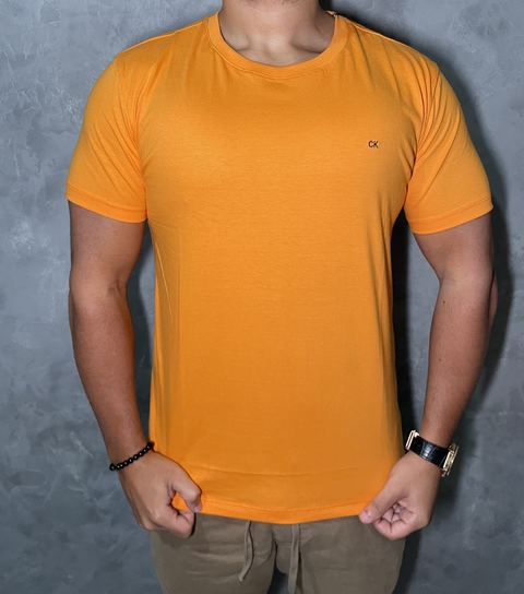 Camiseta básica Ck bordada ( coleção Exclusiva padrão shopping )