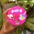 Copo erê menina de Personalizado Rosa tema doces - (Mostruário para encomendas entre em contato pelo Whatsapp) - comprar online