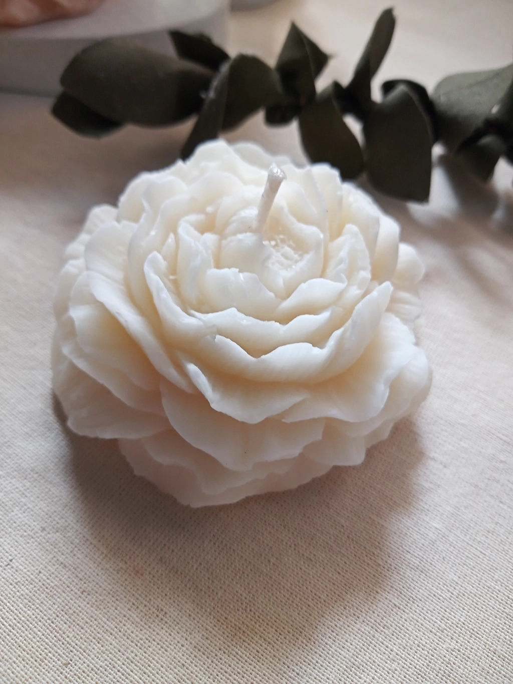 VELA PEONIA