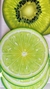 CAPAS PARA SOUSPLAT FRUTAS UNIDADE. - loja online