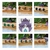 ANILLOS IMPORTADOS PIEDRAS NATURALES PACK X 5 UNIDADES