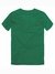 T-SHIRT BASICA CARECA - BANDEIRA na internet