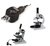 Iluminador para microscopio - comprar online