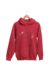 Hoodie Brazos Sanguíneos - tienda online