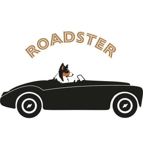 Tienda Roadster
