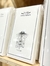Servilletas de papel Margarita x12 - comprar online