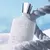 SILVER MOUTAIN WATER 100ML - tienda online