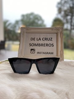 GAFAS NIEVA en internet
