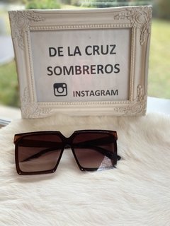 GAFAS ACE en internet