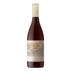 Callia Criolla - comprar online