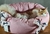 Cama Boia Dupla Face cachorro Rosa