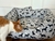Cama Square Dupla face Cachorro Preto