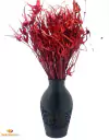Vaso de Plantas