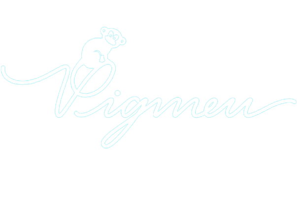 Pigmeu Store