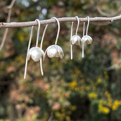 Aros Winterbells en internet