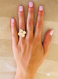 Anillo Lila en internet