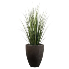 Planta - Grass Chica - Maceta Plástica - 91 cm. - comprar online