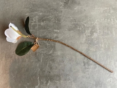 Vara Magnolia - Grande - 79 cm