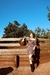 VESTIDO TANIA - loja online