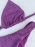 PIPA Violeta en internet