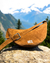 Cartera Em gamuza - comprar online