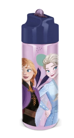 Botellas 540ml Large C/ Licencia Frozen