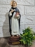 Imagem Santo Tomas de Aquino Resina - comprar online