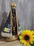 Nossa Senhora Aparecida - loja online
