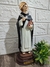 Imagem Santo Tomas de Aquino Resina na internet