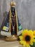 Nossa Senhora Aparecida - Livraria Nossa Senhora de Fatima