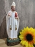 Santo Agostinho Resina 20 cm