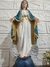Nossa Senhora das Graças com Medalha Milagrosa - comprar online
