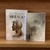 Kit Itinerario Quaresmal Frei Gilson 2025 + Livro Força do Silencio.