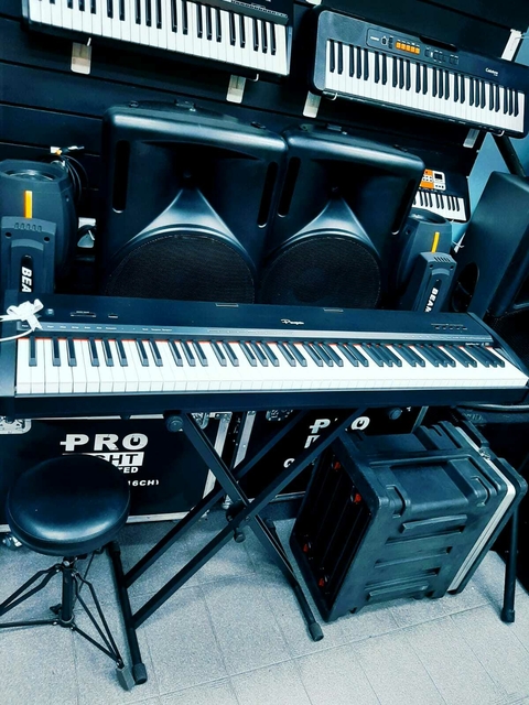 PIANO ELÉCTRICO PARQUER