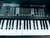 TECLADO SENSITIVO 61 TECLAS /PARQUER 186