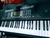 TECLADO SENSITIVO 61 TECLAS /PARQUER 186 - Colyluthier