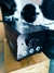 MAQUINA DE HUMO/STRATUS 400 - comprar online