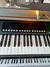 TECLADO PARQUER K196 - Colyluthier