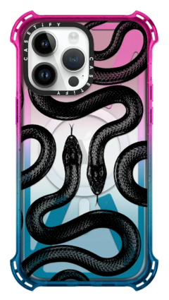 Black Kingsnake