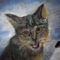 Blues cat - comprar online