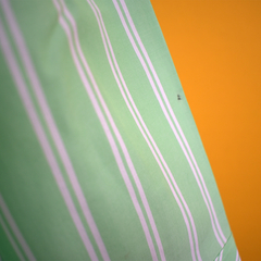 Camisa listrada verde - comprar online