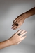 Anillo Roc en internet