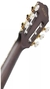 Violão Nylon Ibanez TOD 10N-TKF Tim Henson Signature na internet