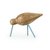 Shorebird Medium