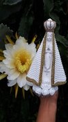NOSSA SENHORA APARECIDA PEROLADA 23 CM
