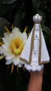 NOSSA SENHORA APARECIDA PEROLADA 23 CM