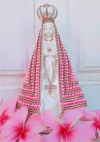 NOSSA SENHORA APARECIDA PEROLADA 23 CM