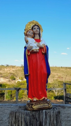 Nossa Senhora da Saúde pintada 22 cm - comprar online